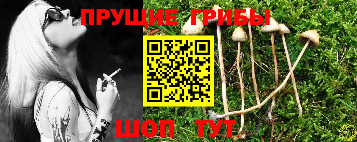 Псилоцибиновые грибы ЛСД Лесозаводск
