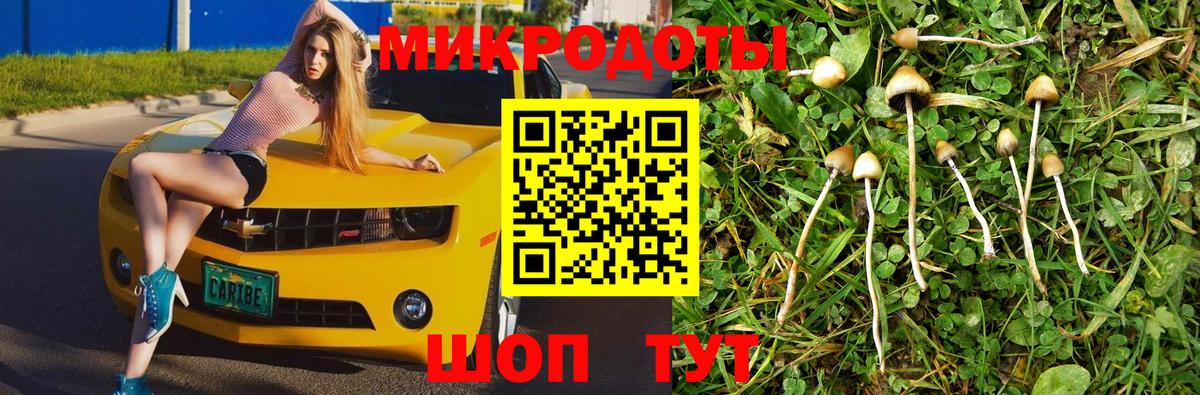 МЕТАМФЕТАМИН Лесозаводск